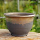【10%OFFクーポン対象 ~7/26】信楽焼 植木鉢 陶器 選べる 縁付金彩中深鉢 5.5号(外径17cm 高さ11.5cm) サナサービス【山野草鉢 多肉植物鉢 サボテン鉢 盆栽鉢 果樹苗 アガベ 塊根植物】