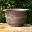 【10%OFFクーポン対象 ~7/11】信楽焼 植木鉢 選べる 手びねり(ロクロ引き) 金彩ビードロエン付鉢 6号(18cm)サナサービス 【東洋ラン鉢 春ラン鉢】【山野草鉢 多肉植物鉢 サボテン鉢 盆栽鉢 果樹苗 アガベ 塊根植物】