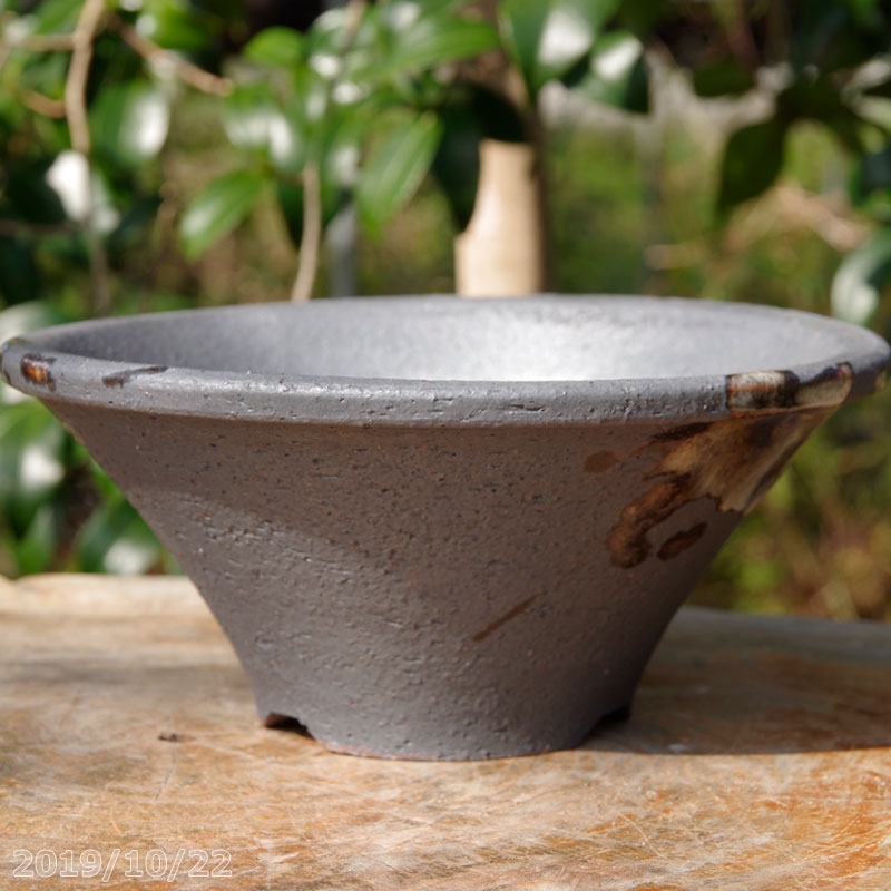 【クーポン発行中！〜11/27】黒化粧 ソリ鉢 6号（外径18cm　高さ7.7cm）信楽焼 植木鉢　【山野草鉢 多..