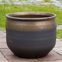 【現品・一点物No.0463】信楽焼 睡蓮鉢 陶器 大型 金彩上下掛分け 睡蓮鉢 18号(外径55cm 高さ45cm) +お好きな睡蓮裸苗 合計5点セットプレゼント +メダカ10匹(死着保証無) 【送料無料】【水鉢 大きい メダカ鉢 ハス鉢 茶碗蓮鉢 ビオトープ スイレン鉢】 big_b