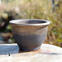 【10%OFFクーポン対象 ~7/26】信楽焼 植木鉢 陶器 選べる 上下掛分け 縁付金彩中深鉢 4.5号(外径13.5cm 高さ9cm) サナサービス 【山野草鉢 多肉植物鉢 サボテン鉢 盆栽鉢 果樹苗 アガベ 塊根植物】