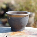 【10%OFFクーポン対象 ~7/26】信楽焼 植木鉢 陶器 選べる 縁付金彩中深鉢 3.5号(外径11cm 高さ7.5cm)サナサービス【山野草鉢 多肉植物鉢 サボテン鉢 盆栽鉢 果樹苗 アガベ 塊根植物】