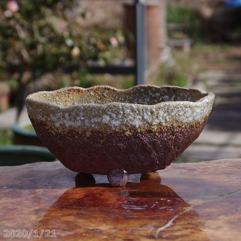 信楽焼 植木鉢 選べる 茶窯変小判足付 8号 外径25cm 高さ10.5cm サナサービス【山野草鉢 多肉植物鉢 サボテン鉢 盆栽鉢 花木樹木苗 果樹苗 アガベ 塊根植物 珍奇植物 ビザールプランツ 蘭ラン…