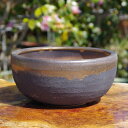 選べる 金彩中深 7号 サナサービス 信楽焼 植木鉢 【山野草鉢 多肉植物鉢 サボテン鉢 盆栽鉢 果樹苗 アガベ 塊根植物】
