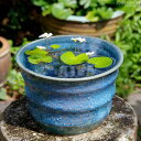 【現品・一点物No.3968】信楽焼 睡蓮鉢 手びねり(ロクロ引き) ブルーガラス3段 水鉢 8号 水草(ガガブタ浮葉、キンギョモ) +メダカ3匹(死着保障なし...