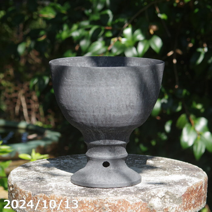 楽天市場】カップ型 鉢(サイズ(植木鉢)4 ~ 6号)(植木鉢 楽天市場】カップ型 鉢(サイズ(植木鉢)4 ~ 6号)(植木鉢