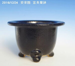 ※窯元直送 愛楽園 富貴蘭鉢 4号 【京楽鉢/楽鉢/黒楽鉢/京楽焼鉢】【フウキラン鉢/ふうきらん鉢/フーキラン鉢】【古典園芸植物鉢】【多肉植物鉢】【京楽焼植木鉢】