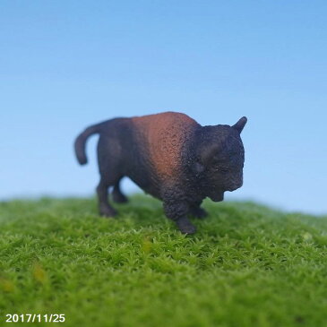 苔のフィギュア　バッファロー 【 苔盆栽 テラリウム ビバリウム 苔テラリウム コケ こけ 】【ネコポス対応（代引不可）】