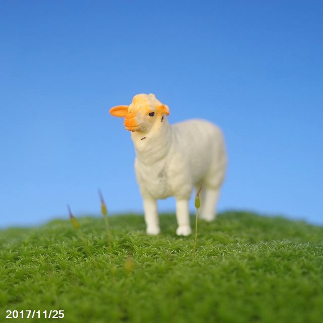 苔のフィギュア　ヒツジ 【 苔盆栽 テラリウム ビバリウム 苔テラリウム コケ こけ 】【ネコポス対応（代引不可）】