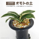 【ご注意】こちらはオモトの土の販売です。画像にある万年青（植物）はつきませんのでご注意ください。 オモト用培養土（おもとの土）解説 1、万年青を植える鉢に対して通常は下段に中粒、上段に小粒にて　定植を致します。商品及び植えられた万年青の画像はいずれも小粒にて植えられた画像です。 2、より大きな大鉢に植える場合は大粒を底部に水はけを考え使用致します。 3、通常、万年青愛好家は乾燥防止に上面に水苔を乗せ乾くことを防いでおります。 4、特に 弊園謹製の「おもとの土」は乾きが早く、成長期から夏、そして秋まで毎日水やりをしていただいても根腐れしにくい良質の材料を使用しております。このことは万年青を育てる初心者の方々はどうしても他の園芸植物と同様、毎日水やりをしてしまう、あるいは水やりをやりたいというクセがあります。それであっても根腐れしにくいという土です。 5、そのような特徴の土です。肥料も約6ヶ月間効果がある秀れものの肥料をお付けしております。是非お付けしております肥料をご利用下さい。他の肥料をお使いの場合、作落ちする場合が考えられます。 日本万年青協会　近畿支部展示会（2018年10月13日） 生育に最適な 長期化成肥料 をお付けいたします。お付けする量は下記の通りです。培養土 2Lの場合肥料　10g×2袋培養土 6Lの場合肥料　10g×6袋培養土 10Lの場合肥料　100g培養土 18Lの場合肥料　200g培養土 18L×2袋セットの場合肥料　500g