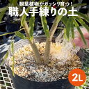 ピートモス混入のない高品質の「におわない・虫の発生のない観葉植物の土」 2L　【長期肥料付】【天然鉱物質100％ ピュアーな土】【弊園謹製 手練り】【室内園芸】