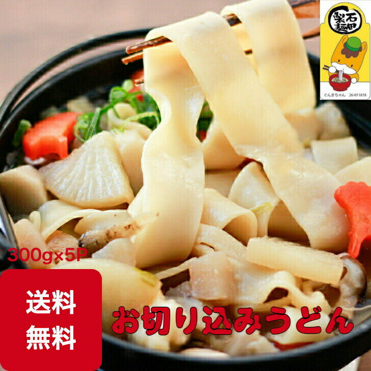 おきりこみうどん 5パック 300g×5 10人前　おっきりこ...