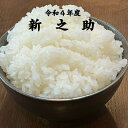 ˼ͤ㤨1000ߥݥå 4ǯ  Ƿ 900g ̵   ̣   ֥ ˤˤ ٤Ȥ ۤäۤ 椭Ω ۥåۥ 饤 rice TKG 񤫤ӡ֥ 餷 פβǤʤ1,000ߤˤʤޤ