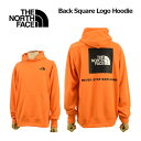 【30 OFF】 ノースフェイス 【THE NORTH FACE】 メンズ バックスクエアロゴフーディー パーカー NT12142 2021春夏 (男性用/スウェットフーディ/プルオーバー/アウトドア/キャンプ)