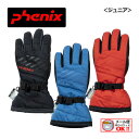 【1点までメール便可】フェニックス 【PHENIX】 ジュニア ブリザード 5本指 ボーイズ グローブ ESB22GL12 スキーグローブ スキー手袋 (スキーグラブ/子供用/小学生/キッズ/防水/吸汗速乾)