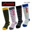 【1点までメール便可】【2023-2024】フェニックス【PHENIX】ジュニア スキーソックス Multi Border Junior Socks ESB23SO82 スキー靴下 (子供用/キッズ/幼児/小学生/スキー用品/スキー学習/抗菌防臭加工)【プレゼント・ギフト】