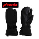 【2023-2024】フェニックス【PHENIX】メンズ スキー グローブ Time Space Gloves ESM23GL11 3本指 スキー手袋 (男性用/ミトン/スキーグラブ/スキー小物/防水/GORE-TEXインサート使用)の商品画像