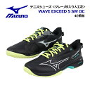 【2024 秋冬】ミズノ【MIZUNO】テニスシューズ ウエーブエクシード5 SW OC / WAVE EXCEED 5 SW OC 61GB2314 46 (...