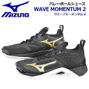 ミズノ 【MIZUNO】 バレーボールシューズ ウエーブモーメンタム2 / WAVE MOMENTUM 2 V1GA2112 52 2021秋冬 (ユニセックス/男性用/女性用/男女兼用/2.5E相当の方向け/バレーボール用品/バレー用品/バレーシューズ/部活)