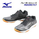 【2023 春夏】 ミズノ 【MIZUNO】 バレーボールシューズ ミズノフライ / MIZUNO FLY V1GA2330 01 (ユニセックス/メンズ/レディース/2E相当/バレーボール用品/バレー用品/バレーシューズ/部活)