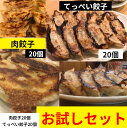 リクエストにお応え！お試しセット【肉餃子20個＆てっぺい餃子20個】　ラーメンやビールとの相性バッチリ 同梱OK！　無化調　※北海道と沖縄は3980円以上注文時も別途送料1300円かかります。