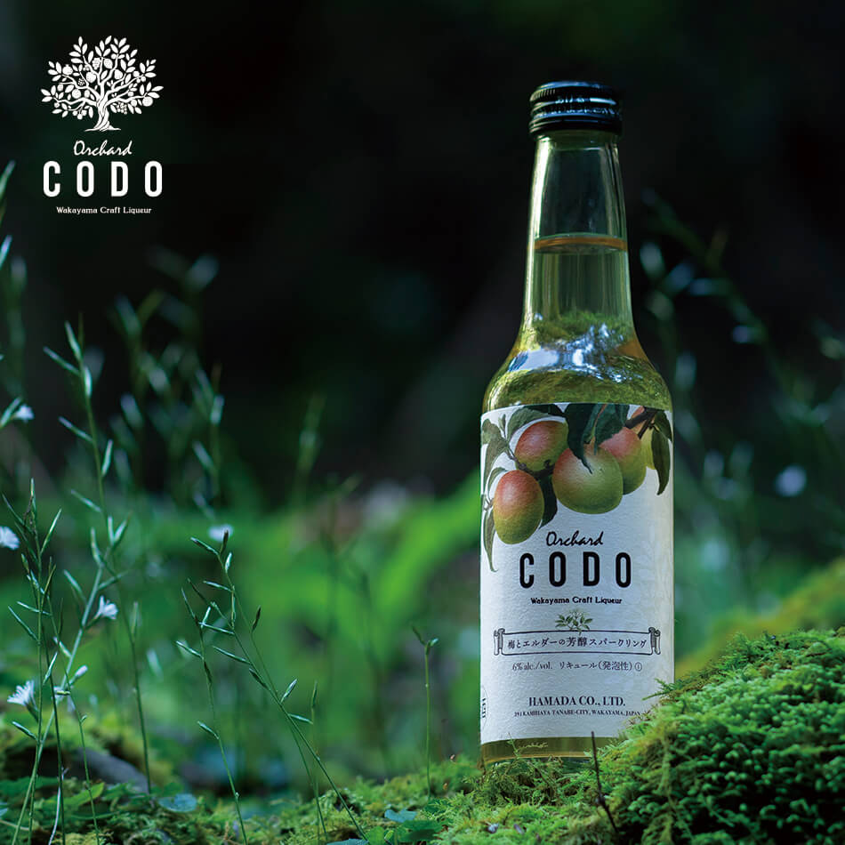 ��Orchard CODO���ߤȥ��������˧�楹�ѡ�������߼� ���� ����եȥꥭ�塼�� ���� ����� ����� ����� ���ե� �ץ쥼��� ������ �������