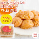 【紀州南高梅】【送料無料】はちみつ 味 つぶれ梅1kg [塩...