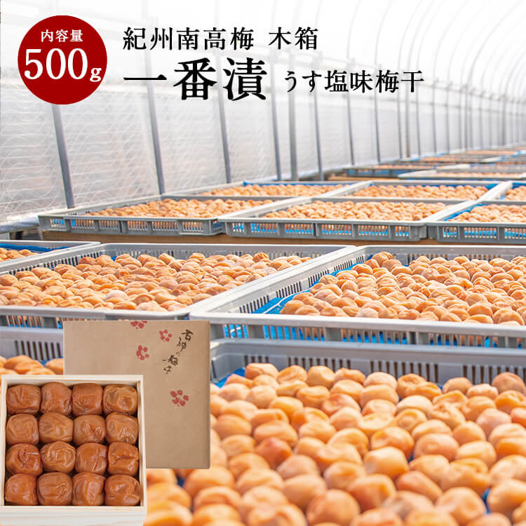 【初物】紀州南高梅 一番漬うす塩味梅干 [塩分8％] 木箱 500g梅干し 梅干 石神邑 石神 南高梅 新物 初モノ ギフト プレゼント お取り寄せ 内祝 引出物 弔事 法要 お返しのサムネイル