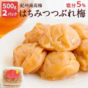 【送料込】紀州南高梅 はちみつ梅干 つぶれ梅 塩分5％ （500g×2パック）つぶれ梅 訳あり 梅干 紀州 南高梅 はちみつ 漬物 石神邑 お弁当 おにぎり