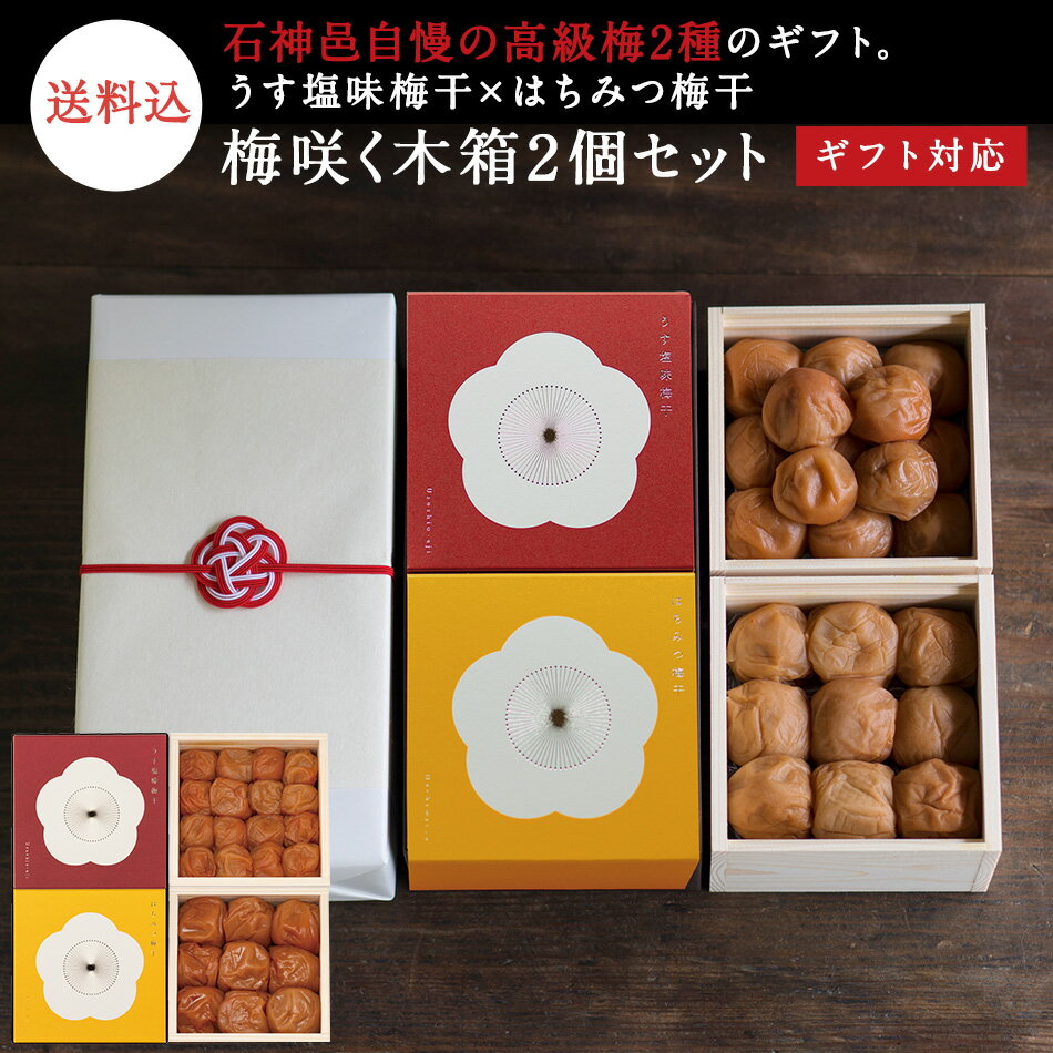 お中元、ギフトに。 【ギフトセット】梅咲く木箱2個セットうす塩味梅干×はちみつ梅干水引き「梅結び」ラッピング梅干し 梅干 漬物 石神邑 紀州 南高梅 お中元 お歳暮 ギフト プレゼント お取り寄せ 内祝 引出物 弔事 法要 香典返し お返し