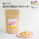梅干ラボうめクッキー 80gお菓子 おやつ クッキー 洋菓子 スイーツ おすすめ 人気