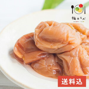 【紀州南高梅】【送料無料】うす塩味梅干 つぶれ梅 [塩分8％]　1kg（500g×2）【つぶれ つぶれ梅 梅干 南高梅 梅干し うめぼし 紀州 石神 つぶれ梅干し】