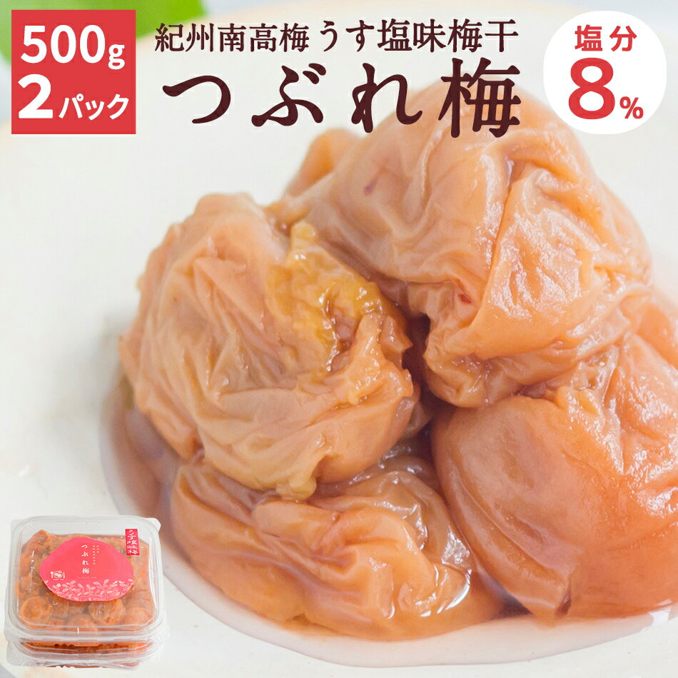 【送料込】うす塩味梅干 つぶれ梅 [塩分8％] 500g 2 つぶれ梅 訳あり 梅干 紀州 南高梅 お弁当 おにぎり