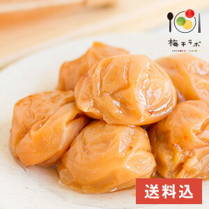 【送料込】紀州南高梅 はちみつ 味 つぶれ梅1kg [塩分5％] （500g×2）つぶれ つぶれ梅 はちみつ梅 はちみつ梅干し 梅干し 梅干 漬物 石神邑 紀州 南高梅 お弁当 おにぎり 訳あり