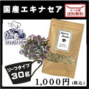 生産者直送★【無農薬!国産エキナ...