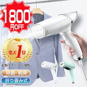 【実質2,980円＆クーポン利用で！】 ＼楽天1位／ スチー