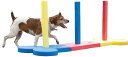 【Rosewood】小型犬用 トレーニング器具 ドッグ・アジリティ イギリス・ローズウッド社製 (スラローム) その1
