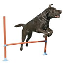 (イギリスROSEWOOD) 犬用 アジリティトレーニング器具 ドッグアジリティ 犬の運動 ローズウッド社製 (ハードル) その1