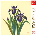 【送料無料】 完成品 ちぎり絵 色紙 あやめ 石川紙業 ちぎり絵 色紙 242×272mm あやめ 美しい 季節 花 作品 リビング 玄関 飾り 手作り ハンド...