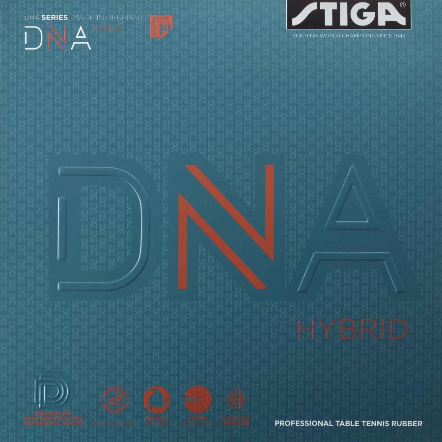 STIGA XeBK DNA nCubh XH DNA HYBRID XH 싅o[ 2024NV