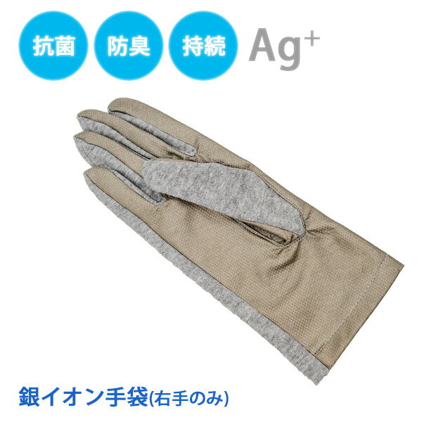 手袋 てぶくろ 抗菌 銀イオン 清潔 防臭 シルベルン 2-691