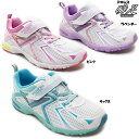 瞬足レモンパイ 360 LEJ3600【Hi-STANDAR...