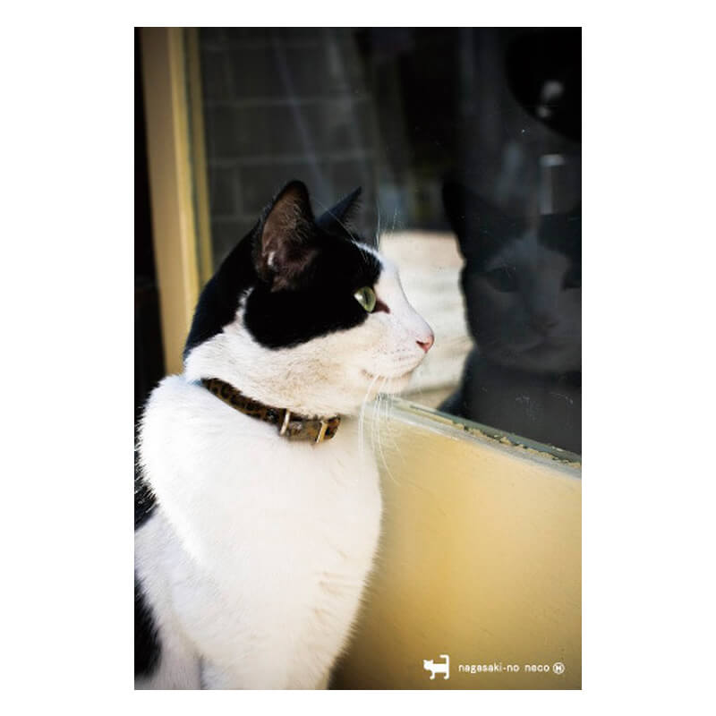 曲がったことが大好き♪ 眼鏡橋ちかくの長崎の猫雑貨「nagasaki-no neco」が手掛ける尾曲がり猫グッズ nagasaki-no neco(ながさきのねこ)さんは、2016年眼鏡橋近くに猫雑貨のお店「nagasaki-no neco」をオープン！ 長崎の猫に多い尾曲がり猫をモチーフにしたオリジナルグッズを企画・デザイン・販売されています。 ねこを愛するデザイナーさんが、ねこのことばかり考えて生まれたグッズの数々。 ゆる〜いイラストのねこから、大人かわいいシルエットのデザインなどなど、とにかくnecoのかわいさが止まりません。 長崎のまちとねこはよく似合います。 ーーーーーーーーーーーーーーーーーー サイズ：W10cm×H14.8cm ーーーーーーーーーーーーーーーーーー 【免責事項】 在庫データは定期的に更新しておりますが、一部の商品につきましては実店舗と在庫を共有しておりますので、ご注文のタイミングによっては欠品・完売となりご用意が出来ない場合がございます。ご了承の程よろしくお願い申し上げます。