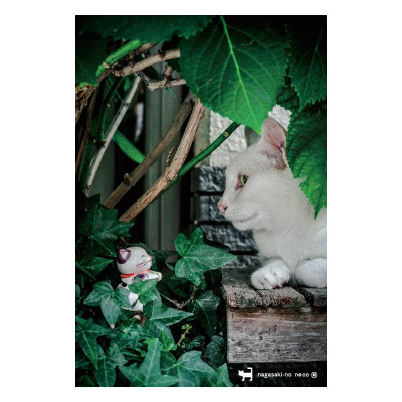 Rakuten - nagasaki-no neco 長崎の猫雑貨 post card 008