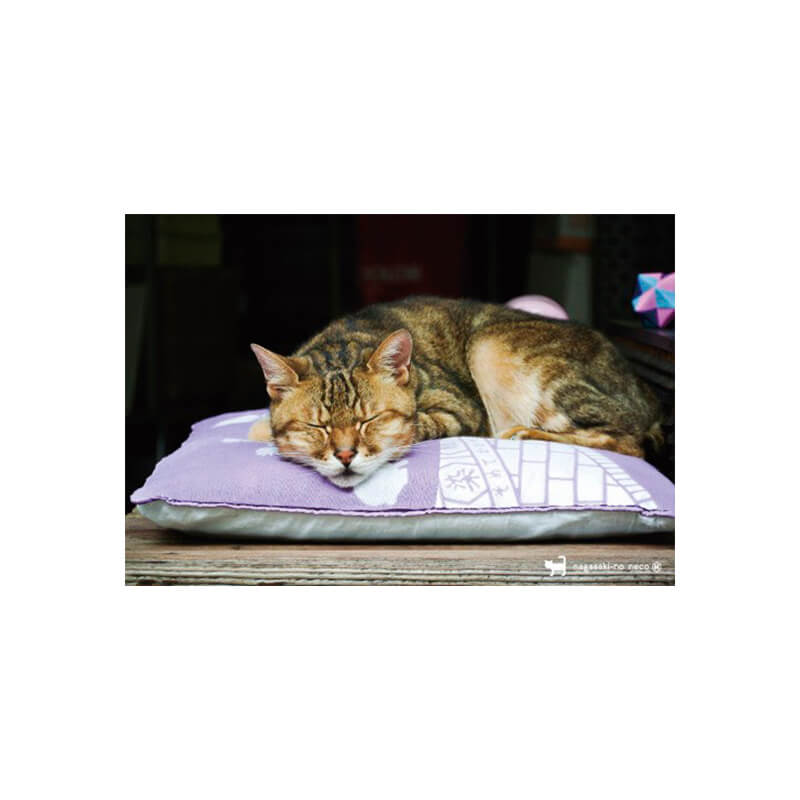 Rakuten - nagasaki-no neco 長崎の猫雑貨 post card 011