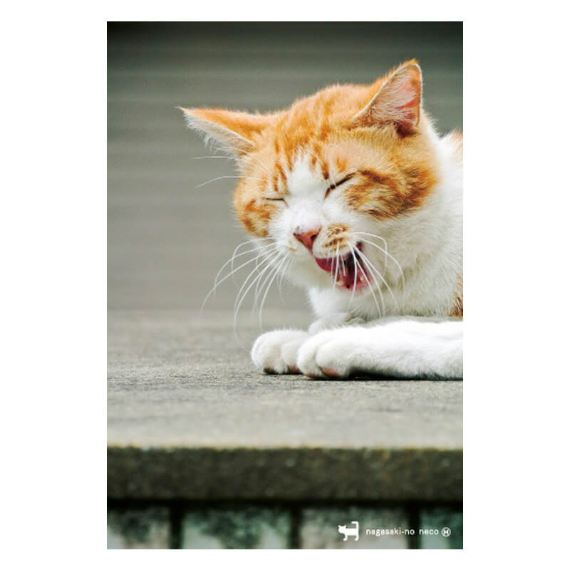 nagasaki-no neco 長崎の猫雑貨 post card 019