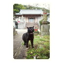 nagasaki-no neco 長崎の猫雑貨 post card 053