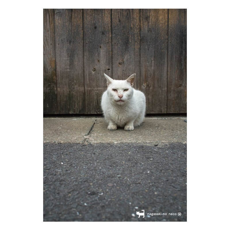 nagasaki-no neco 長崎の猫雑貨 post card 063