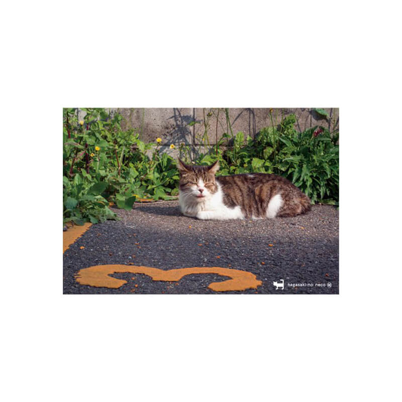 Rakuten - nagasaki-no neco 長崎の猫雑貨 post card 065