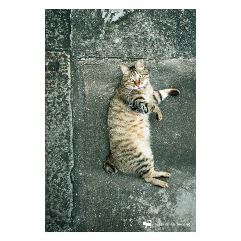 Rakuten - nagasaki-no neco 長崎の猫雑貨 post card 068